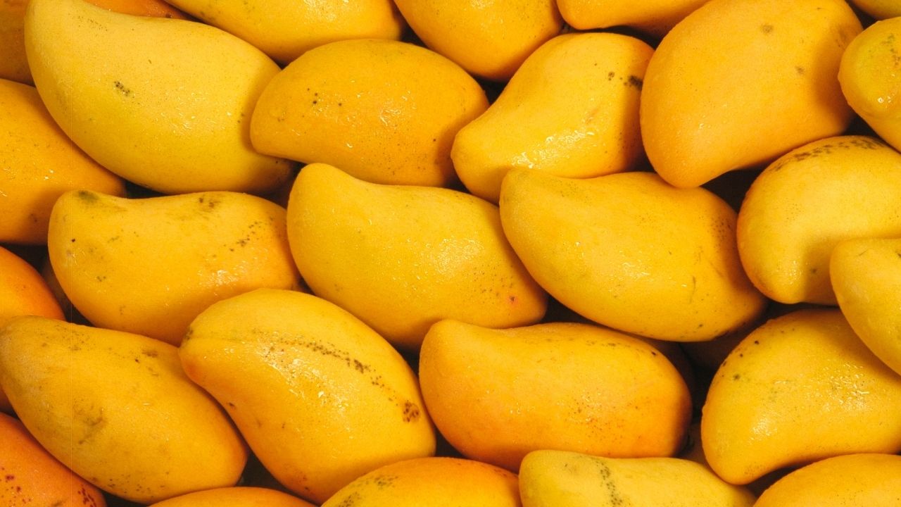 Entrepreneur&apos;s: How to Setup Own <b>Mango</b> Fruit Bar Production Business.