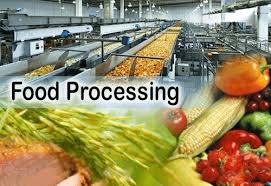 Food Processing and Agriculture Based Projects, Snack Food, Frozen Food, Agro Processing Technology, Processed Food, Instant Food, Food Industry, Food Preservation, Canned Food, Packed Food, Ready to Eat Food, Cereal Food, Pickle, Spices, Grain Milling, Value added products