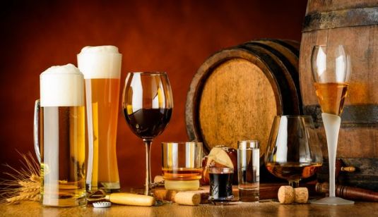 Beer and Wine Industry, Winery Project, Grape Wine Projects, Wine Yard, Grape Cultivation