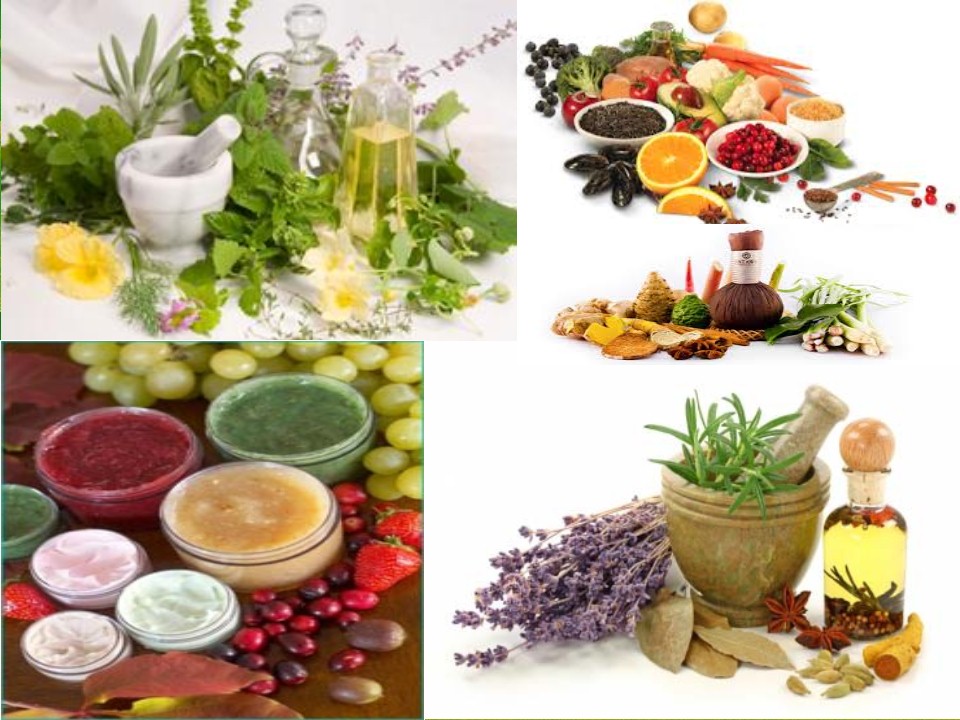 Herbs and Herbal Based Products, Ayurvedic Medicines, Cosmetics, Herbs, Medicinal Plants Cultivation, Processing, Herbal Extract, Natural Plant Extracts, Ayurvedic Pharma, Ayurvedic Products, Herbal Medicine, Herbal Cosmetics, Ayurvedic Formulations