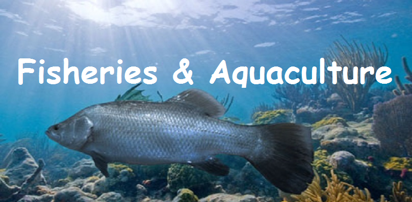 Fisheries and Aquaculture, Fish and Marine Products, Fish farming, Processing and value added Products