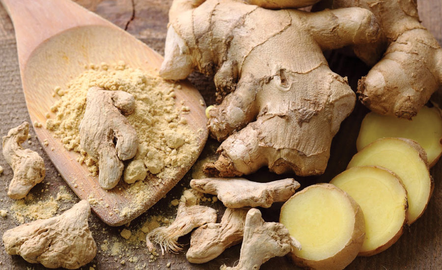 Ginger Cultivation, Ginger Processing and Ginger value added Products