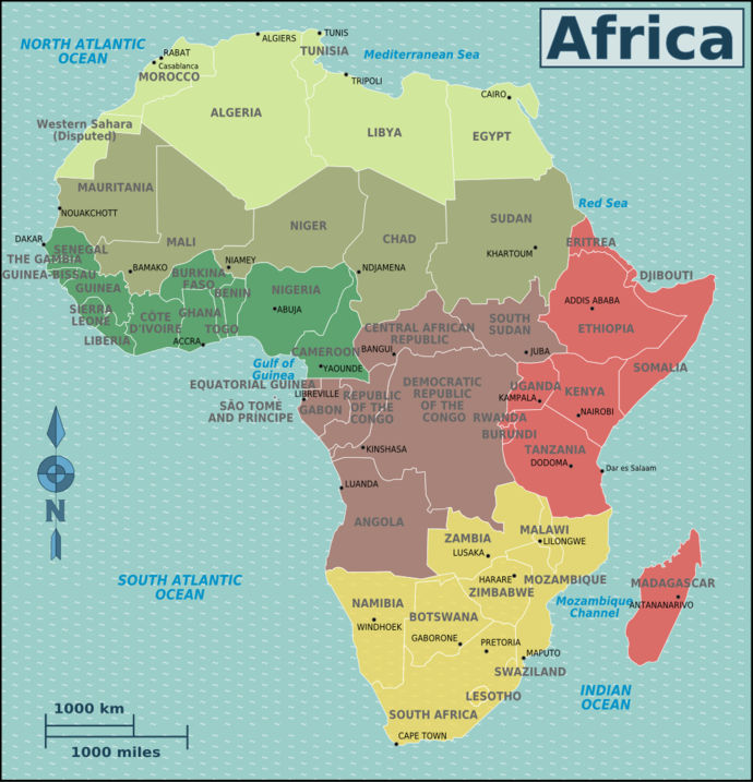 Investment Opportunities & Business Ideas in Africa- Identification and Selection of right Project, Thrust areas for Investment, Industry Startup and Entrepreneurship Projects