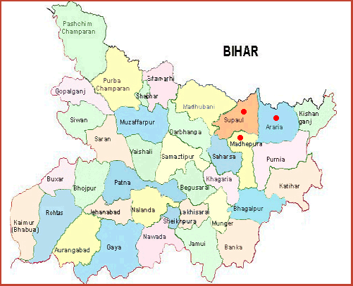 Best Business Opportunities in Bihar - Identification and Selection of right Project, Thrust areas for Investment, Industry Startup and Entrepreneurship