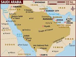 Investment Opportunities & Business Ideas in Saudi Arabia- Identification and Selection of right Project, Thrust areas for Investment, Industry Startup and Entrepreneurship Projects