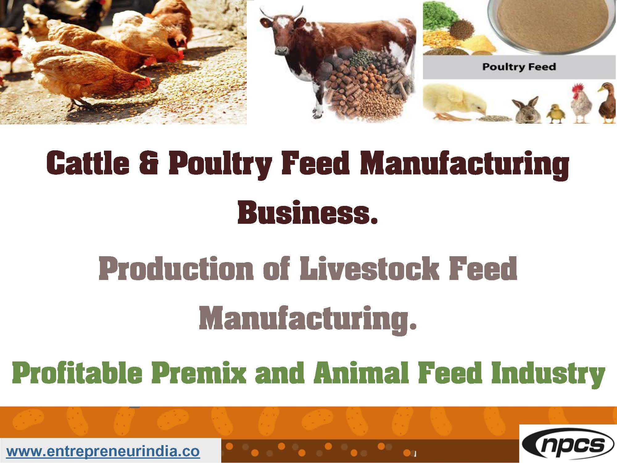 livestock feed production business plan