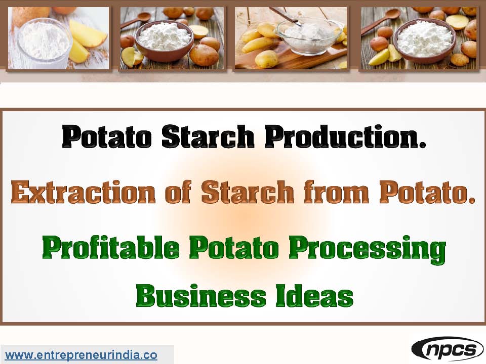 Potato Starch Production. Extraction of Starch from Potato