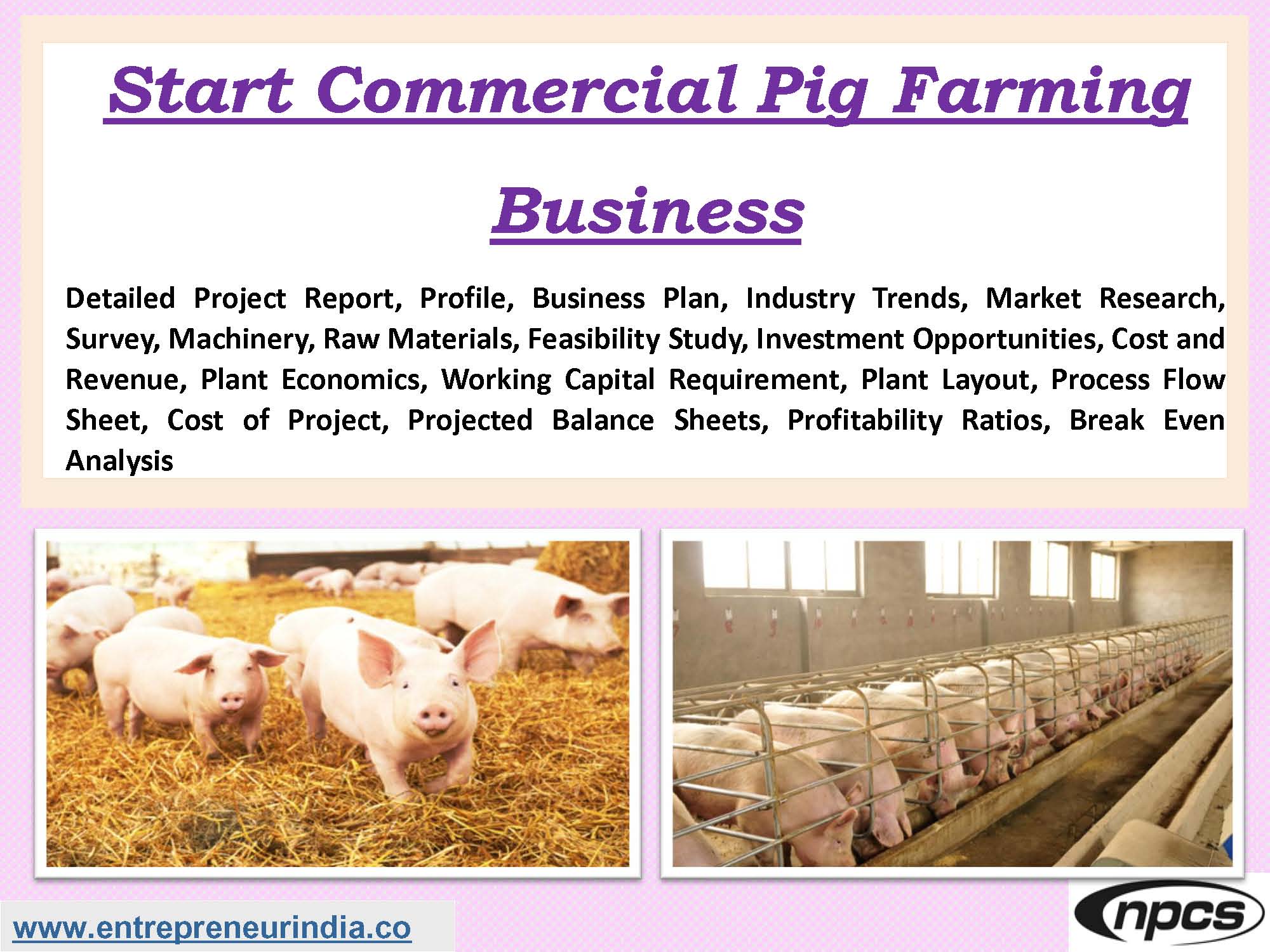 Start Commercial Pig Farming Business Detailed Project Report, Profile, Business Plan, Industry Trends, Market Research, Survey, Machinery, Raw Materials, Feasibility Study, Investment Opportunities, Cost and Revenue, Plant Economics, Working Capital Requirement, Plant Layout, Process Flow Sheet, Cost of Project, Projected Balance Sheets, Profitability Ratios, Break Even Analysis