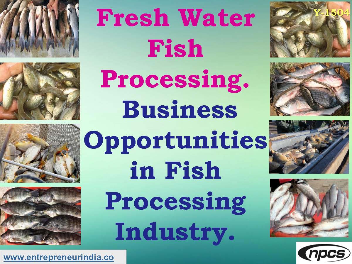 Fresh water fish processing. Business Opportunities in fish processing Industry.