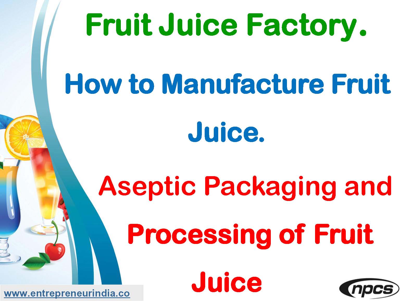 Fruit Juice Factory. How to Manufacture Fruit Juice