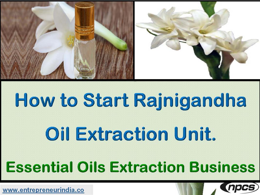 How to Start Rajnigandha Oil Extraction Unit. Essential Oils Extraction Business