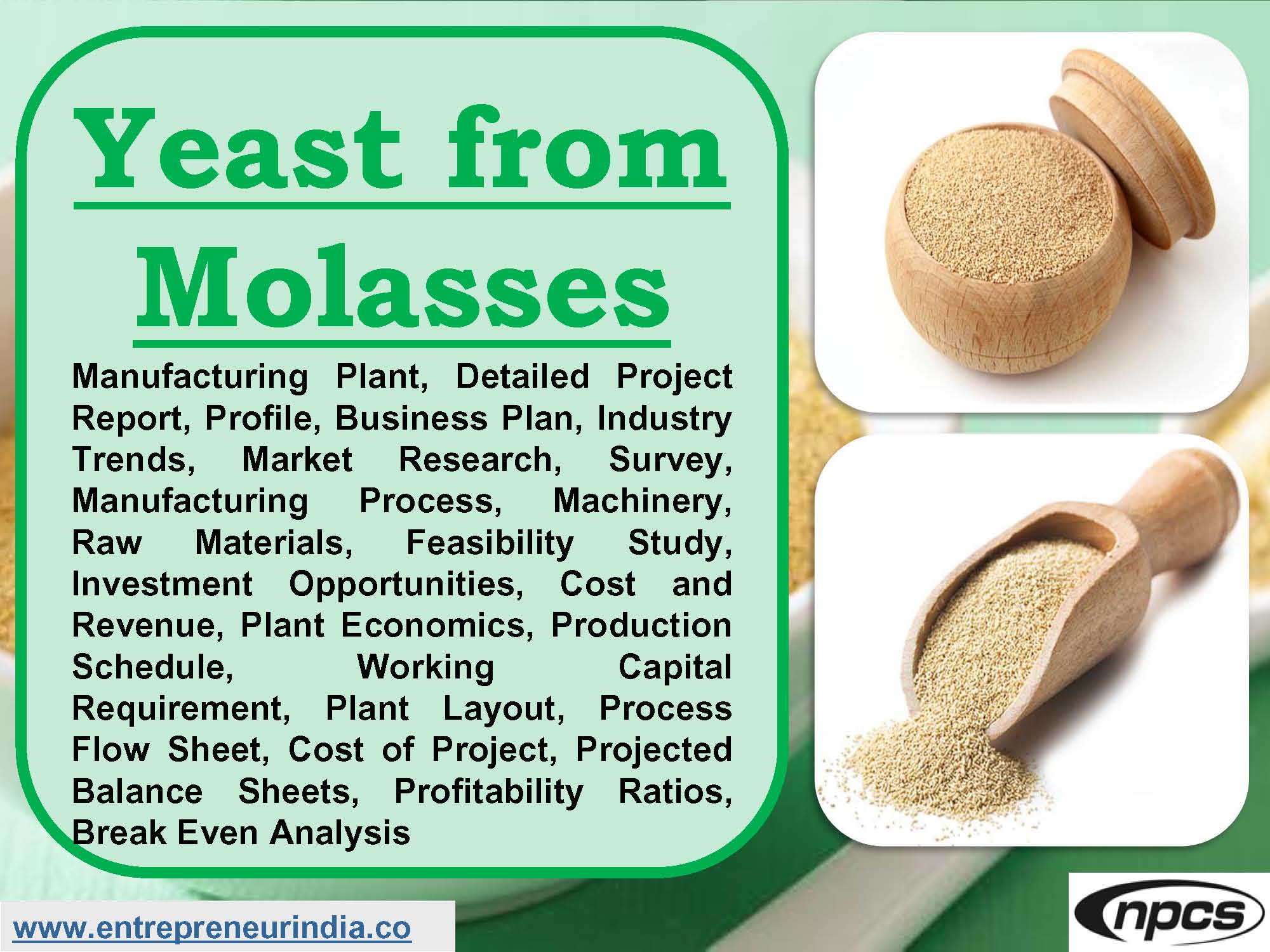 Yeast from Molasses Manufacturing Plant, Detailed Project Report, Profile, Business Plan, Industry Trends, Market Research, Survey, Manufacturing Process, Machinery, Raw Materials, Feasibility Study, Investment Opportunities, Cost and Revenue, Plant Economics, Production Schedule, Working Capital Requirement, Plant Layout, Process Flow Sheet, Cost of Project, Projected Balance Sheets, Profitability Ratios, Break Even Analysis