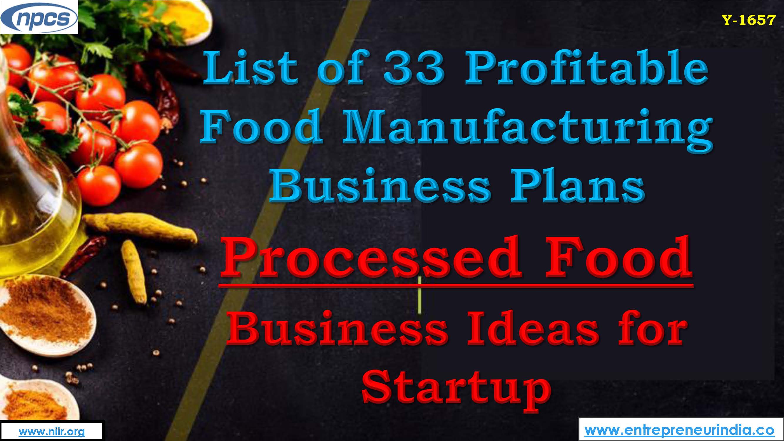 business plan for food manufacturing