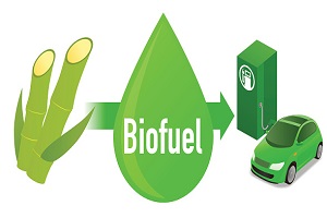 Biofuel: Biomass ethanol, made form Sugarcane, diagram illustration