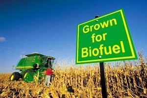 bio Ethanol