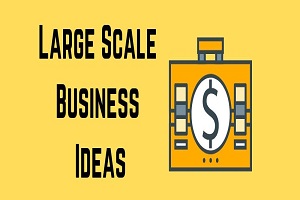 Large-Scale-Business-Ideas-Business-Idea-Insight-1100x385.x58260