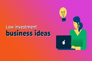 Low-InvestmentBusiness-Ideas-
