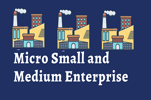 Micro-Small-and-Medium-Enterprise